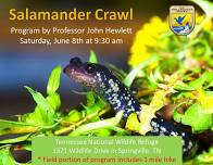 Salamander Crawl