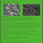 Biochar Workshop