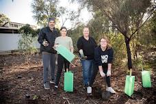 Green our City planting day