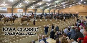 Iowa Classic Draft Horse Show