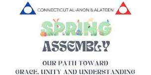 CT AFG Spring Assembly- 6.1.24