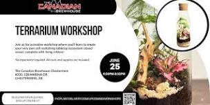 Terrarium Vessel Workshop at The Canadian Brewhouse Chestermere