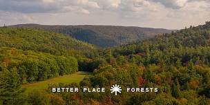 Berkshires Memorial Forest Summer Celebration