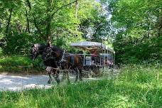 Carriage Ride, Wednesday May 1