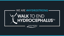 Detroit WALK to End Hydrocephalus