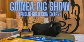 Guinea Pig Show - Dunedin