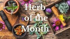 Herb of the Month Class & Fellowship (June 22,  2024 Saturday Afternoon)