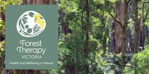 Forest Therapy Experience: Eagles Nest Picnic Ground, Olinda