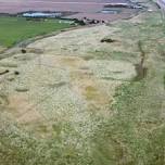 Sandilands Great British Beach Clean