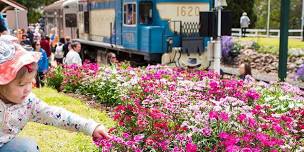 Spring Bluff Railway Station Gardens