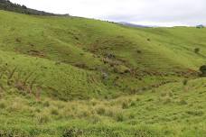 Planting New Wetland for Matariki