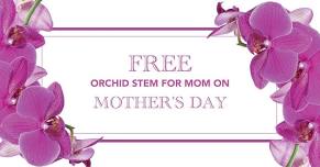 Free Orchid Stem for Mom on Mother's Day