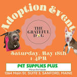 Adoption Event with Pet Supplies Plus Sanford