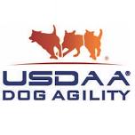 USDAA Evening Trial hosted by Q4U Agility