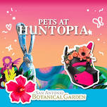 Pets at Huntopia