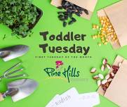 Toddler Tuesday at Pine Hills!