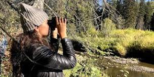 Beginner Birding White Mud Park