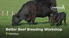 Better Beef Breeding Workshop - Pahiatua