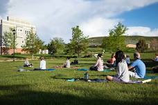 Free Yoga in the Park at Belvedere Park