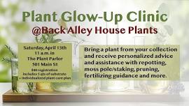 Plant Glow-Up Clinic - April