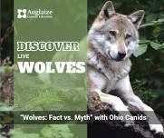 “Wolves: Fact vs. Myth” with Ohio Canid Center