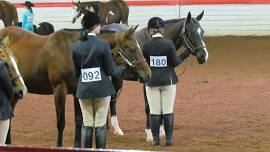 Howard County Fair Show