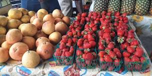 Apalachicola Farmers Market