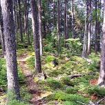 Downeast Lakes Land Trust Trails Day