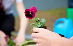 GARDENING CLUB