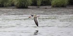 Hackensack Riverkeeper Eco-cruise