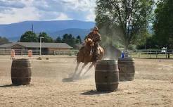 Working Equitation Schooling Show