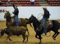 Amped Up Bull Riding