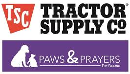 Adoption Event @ Chapel Hill Tractor Supply