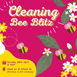 Cleaning Bee Blitz