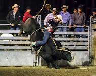 Scioto County Fair Championship Rodeo