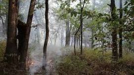 Cross Timbers Forest & Range Management Field Day at Lake Carl Blackwell