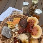 Early Summer Foraging Class