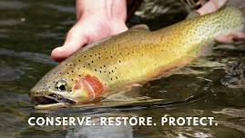 WestSlope Chapter Trout Unlimited April Meeting