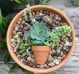 Succulent Pot in a Pot - Saturday May 25th, 11am - 12pm