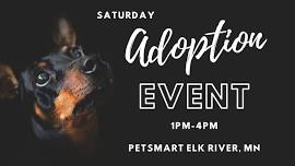 Adoption Event