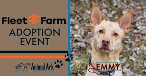 Animal Ark/ Fleet Farm (Hastings) Adoption Event