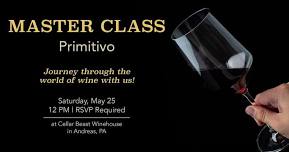 Primitivo Master Class with the Winemakers