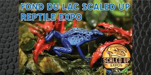 Scaled Up Expos – Fond du Lac