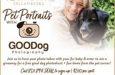 Pet Portraits With Good Dog Photography