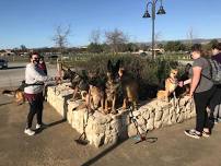 Play Time - Metcalf Park