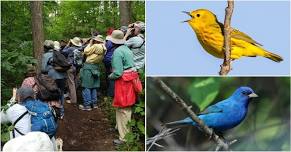 Weekend Walk for Birds at Matthaei Botanical Gardens