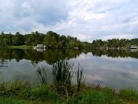 Guided Bear Creek Park Hike