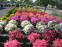 28th Annual Riverhead Rotary Gardenfest at Tanger Outlets