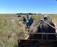 Ground Driving and Long Lining Clinic