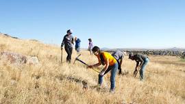 River Bank Restoration Volunteer Work Day